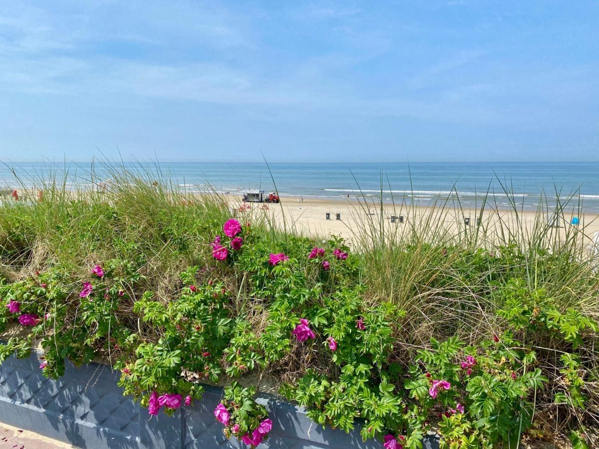 @54 Apartamento Zandvoort Exterior foto